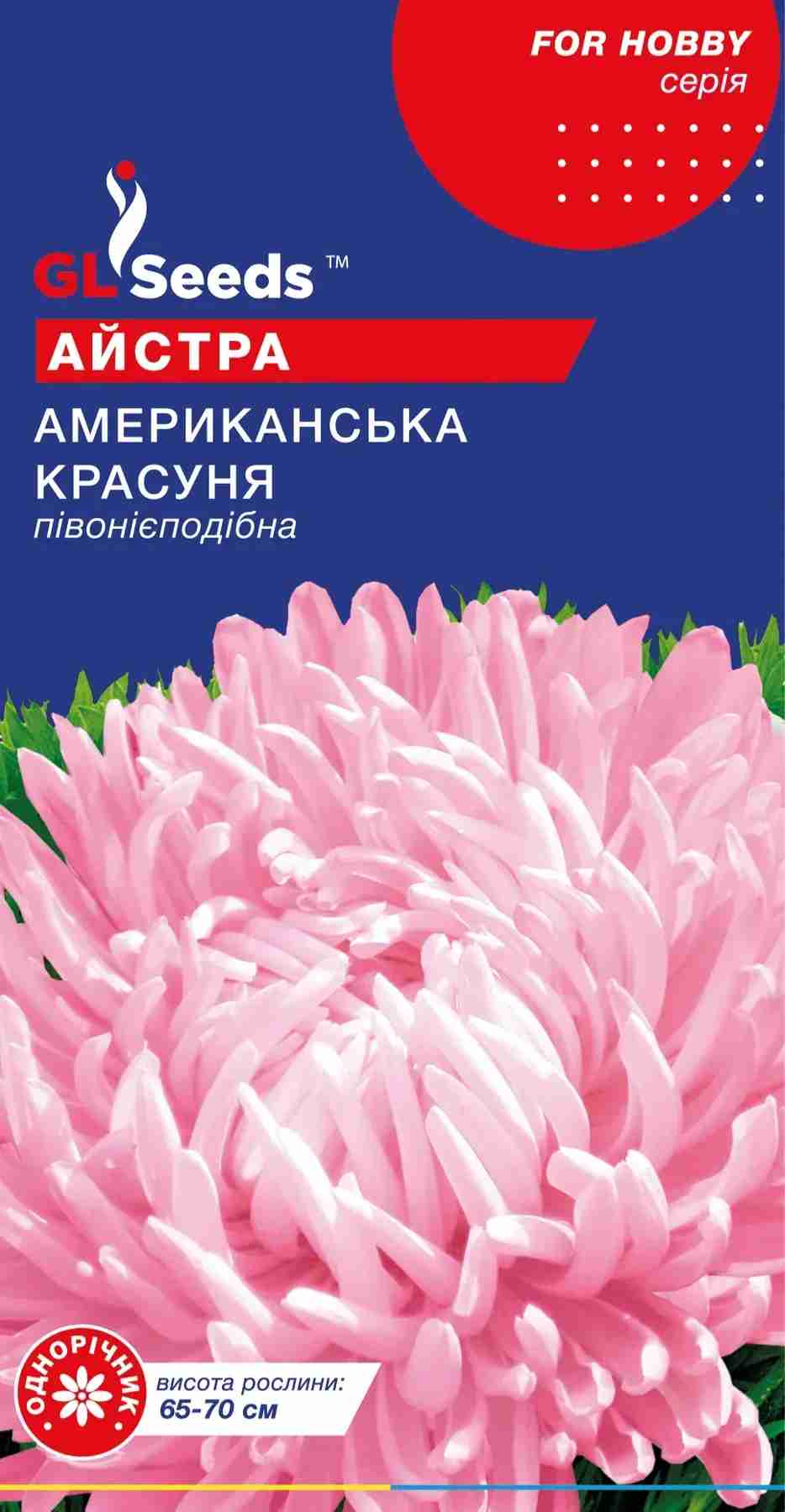 Айстра Американська красуня