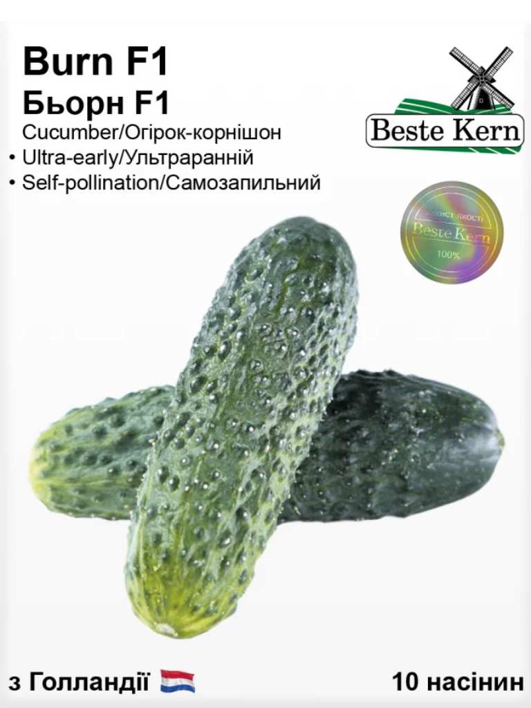Бьорн