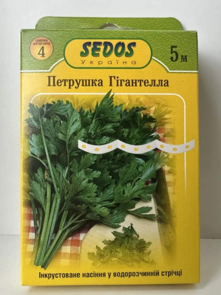 Петрушка Гігантелла