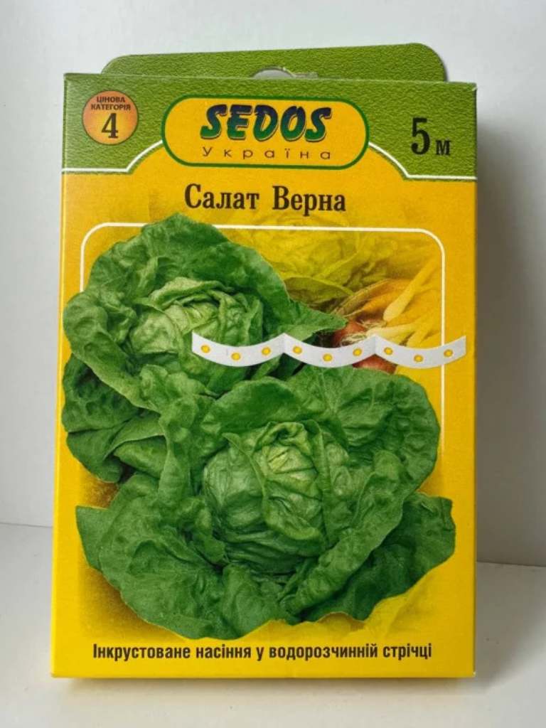 Салат Верна